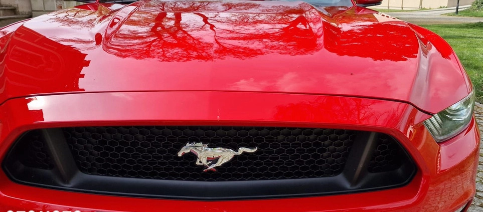Ford Mustang cena 199000 przebieg: 5900, rok produkcji 2017 z Świebodzice małe 121